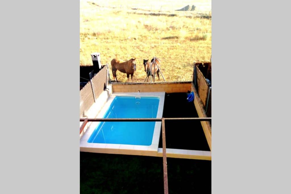 La Espiga De La Mata Villa Segovia Eksteriør billede